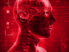 Ausgezeichnet: GMS ist laut diind &quot;Arbeitgeber der Zukunft&quot; 